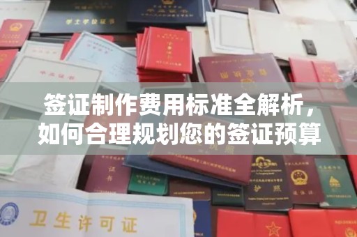 罗江签证制作费用标准全解析，如何合理规划您的签证预算？